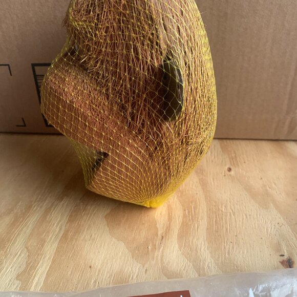 PET SUPPLIES - NEW Coconut head bird cage toy foraging shred chew PARROT MACCAW - Picture 4 of 7